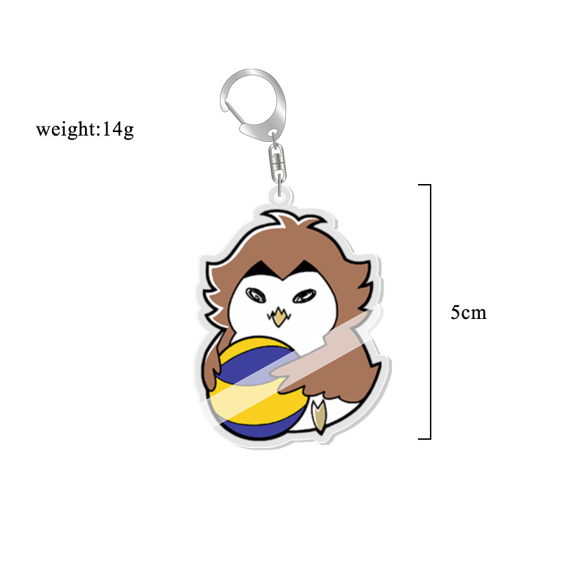 Portachiavi in Acrilico Haikyu - Anime Merchandise Haikyuu recensione e prezzo